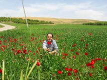 ماموریت کاری- جاده روستای صورین در شهرستان شاهین دژ